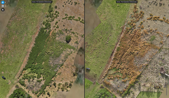 Gorse Ortho-mosaic Comparison